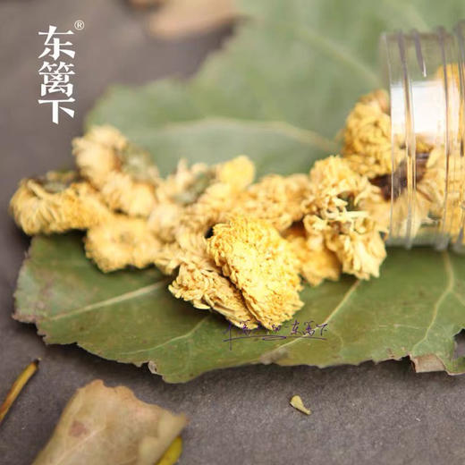 东篱下杭白菊30g 商品图3