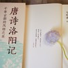 唐诗洛阳记:千年古都的风物之美 商品缩略图2