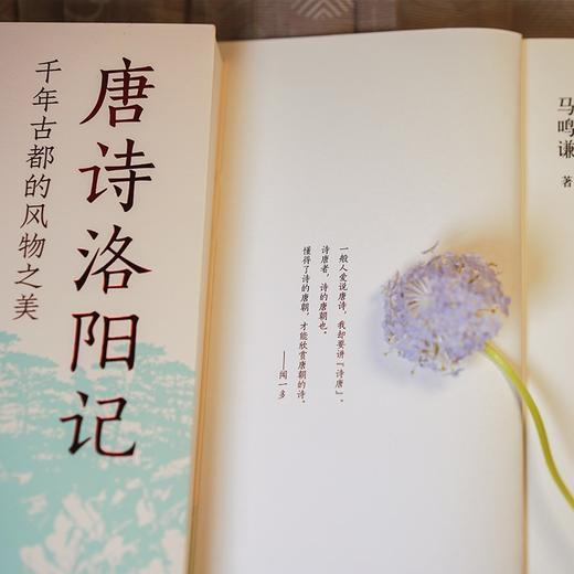 唐诗洛阳记:千年古都的风物之美 商品图2