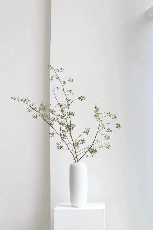 山归来【四季不只诗和远方，还有这人间草木】简小姐精选ins风小清新花材 山归来2枝 顺丰冷链包邮 下单5天发货 商品图2