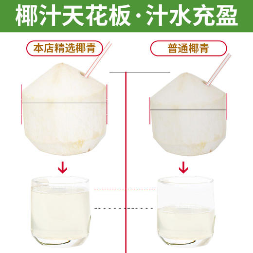 【码帮严选】香水奶椰  海南文昌椰青新鲜椰子孕妇水果牛奶热带当季椰汁整箱 商品图3