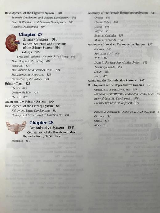 医学经典人体解剖（第二版） 数百幅彩色插图 精装大16开 商品图6