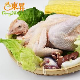 东升农场 散养走地鸡 整只光鸡发货 广东顺丰包邮