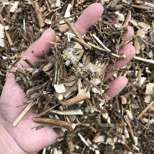 臭灵丹 商品图2