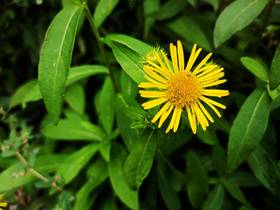 十一电影动画合集