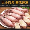 【北海湾】海兔子满籽新鲜海兔带籽笔管鱼500g*2袋 商品缩略图4