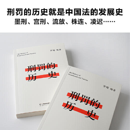刑罚的历史（罗翔历数酷刑典故，墨刑、宫刑、流放、株连……在奇闻轶事中看清中国法律的发展，千万读者追更的历史课堂） 商品图2