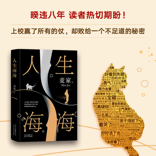 人生海海麦家茅盾文学奖得主风声解密暗算豆瓣年度中国小说文学书籍畅销书杨洋董卿朗读者正版包邮中国文学 商品图1