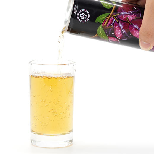 【宁商协作】山阳县 家金酸梅汤 310ml/罐 商品图1