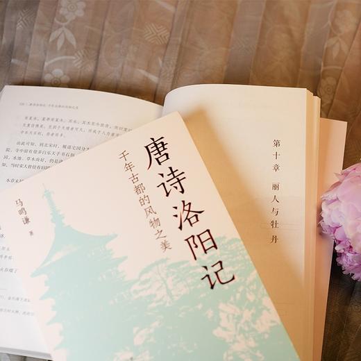 唐诗洛阳记:千年古都的风物之美 商品图4