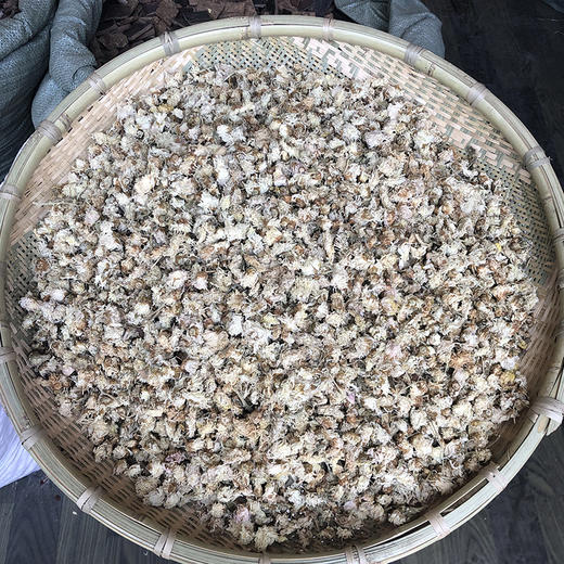 散菊花 商品图0