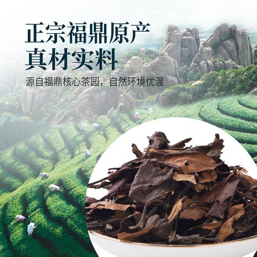 茶人岭老白茶八年陈化寿眉散茶150克 商品图7