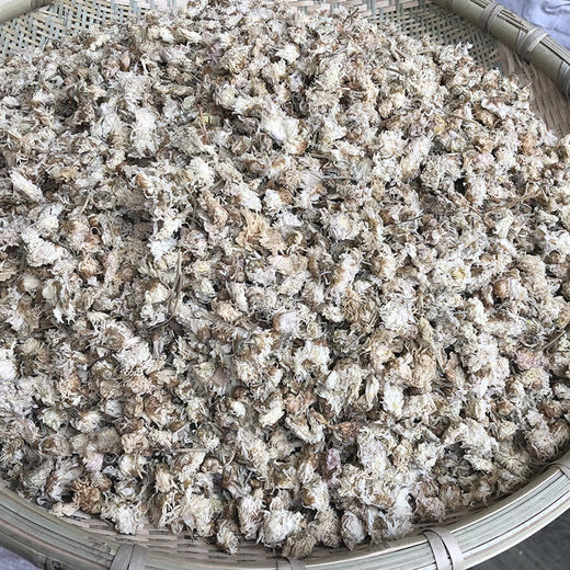 散菊花 商品图3