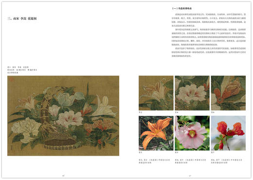 《宋元之眼·历代花鸟名品临摹技法丛书》·元代设色花鸟 墨花墨禽 宋代花鸟小品 花卉 蔬果 鳞介禽鸟 白描入门国画画法——中国美术学院出版社 商品图3
