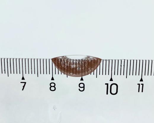 超大直径丨生椰拿铁巧·Agenscolor丨14.5mm（年抛/2片装） 商品图2