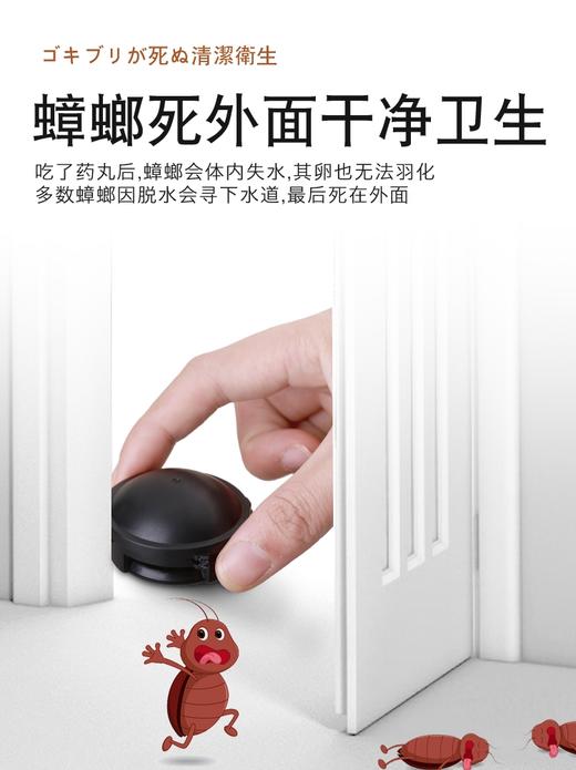 【取代传统蟑螂药 安全防触碰】日本小黑屋小强蟑螂药家用无毒一窝全窝端绝杀大小通杀强力一扫净 商品图3