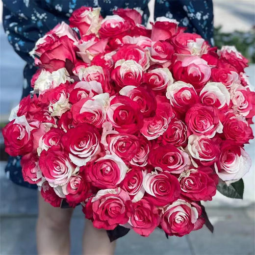 厄瓜多尔染色花材RedWhite红白玫瑰花10支 商品图0