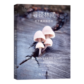 寻径林间：关于蘑菇和悲伤