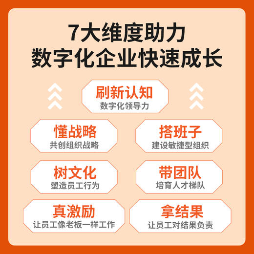 刷新管理：数字化企业快速成长 许林芳讲管理阿里巴巴企业管理组织管理企业文化敏捷组织 商品图4