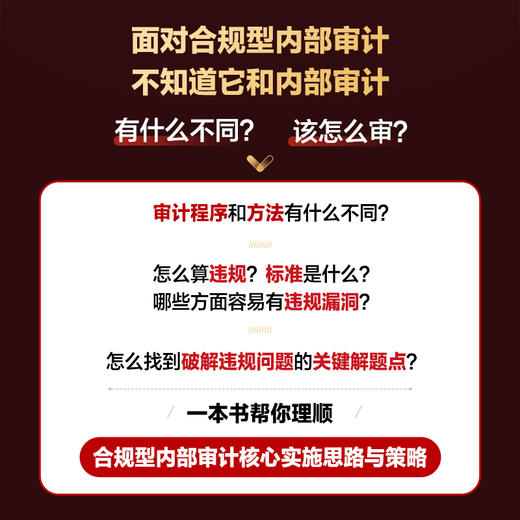 合规型内部审计：*发现违规行为，实时化解合规风险 审计程序方法 违规疑难审查 预见风险 财务管理 审计实务 商品图2