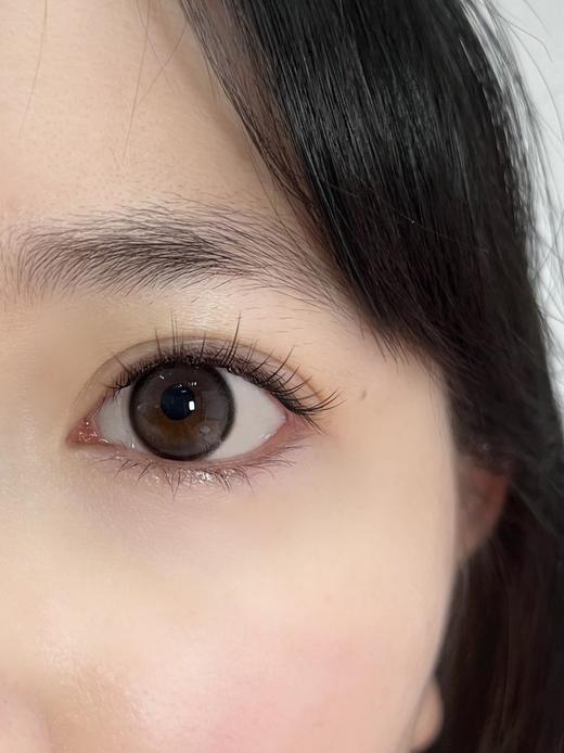 Rolalens 小糖丸黑 年抛 2片14.2mm 参考着色13.2mm 基弧8.6 含水38% 韩国进口 商品图2