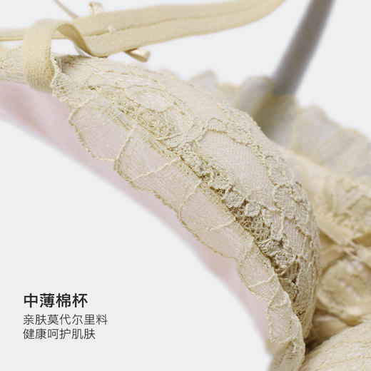 美季美优法式碎花蕾丝文胸W253B08 商品图2