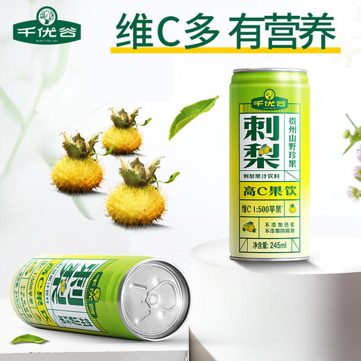 刺梨汁245ml*12罐 商品图2