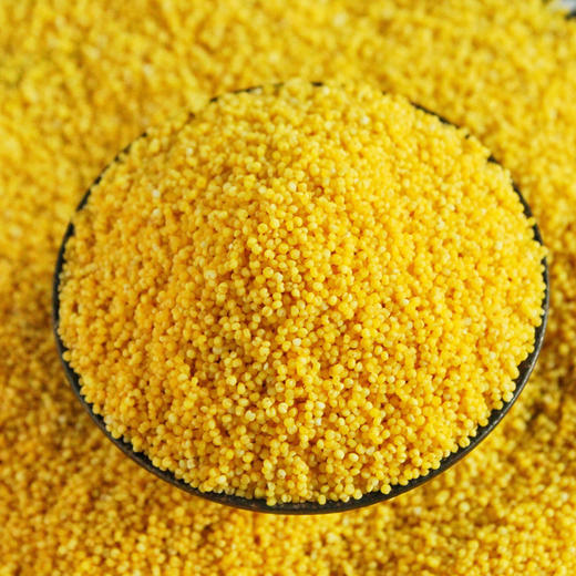 自然农法小米 500克 商品图2