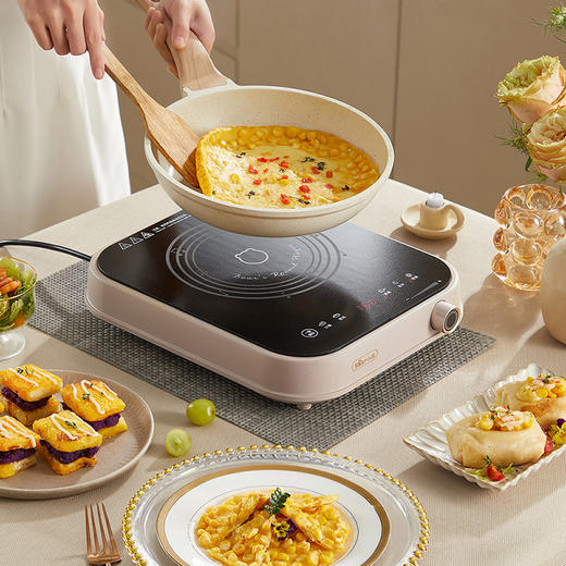 【小程序】小熊(bear)电磁炉 家用大功率2000W 火锅炉 电磁灶 智能定时 温度可调 电灶防水黑色微晶面板 DCL-A22Q5 商品图10