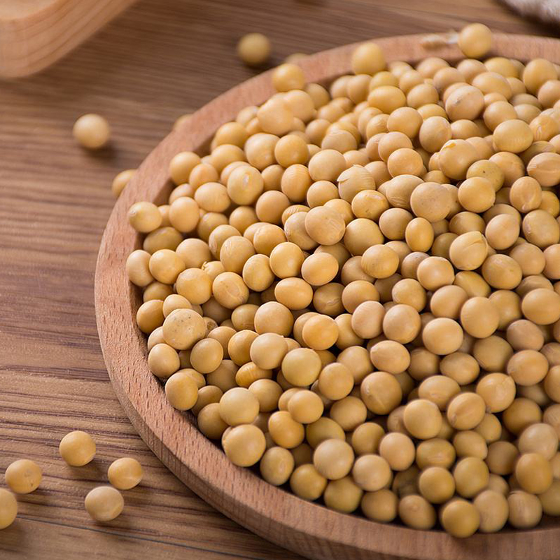 神农架老品种黄豆  500克