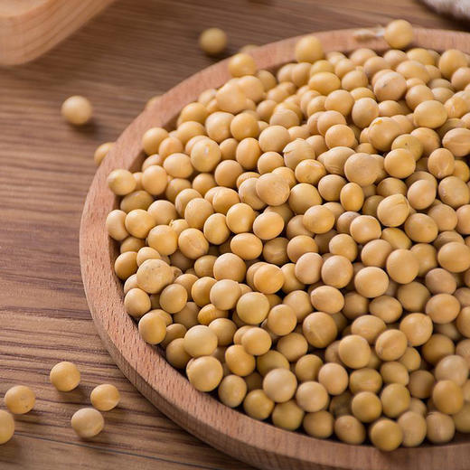 神农架老品种黄豆  500克 商品图0