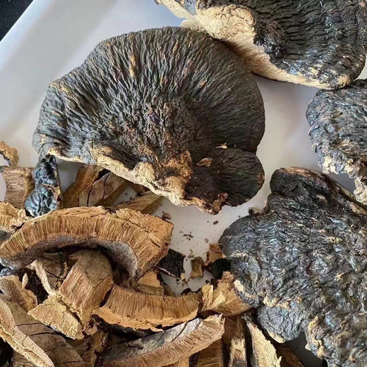 海南薄树灵芝（袋装） 商品图0