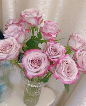 【拍市玫瑰】气场 10支/扎  60公分