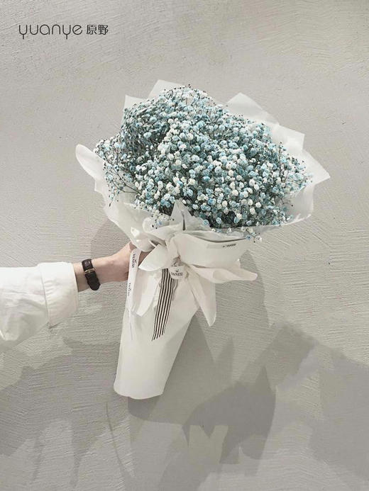 蓝色满天星韩式花束B676 商品图0