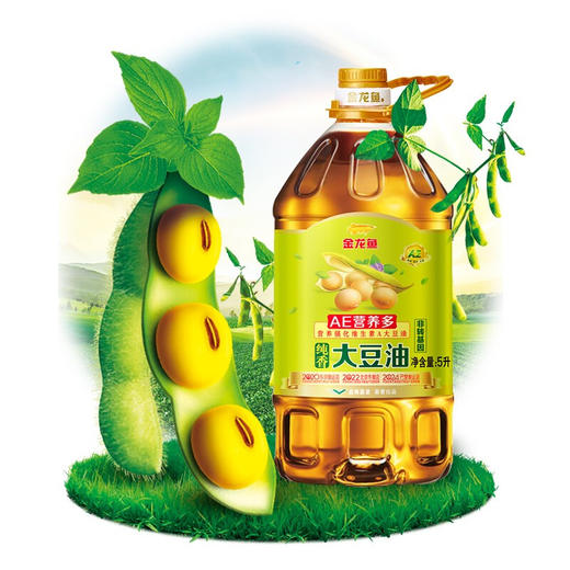 金龙鱼AE营养多非转基因大豆油5升 商品图0