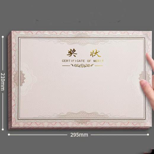 奖状小学生奖状纸a412开可打印空白初中生内纸幼儿园期末儿童创意三好学生证书12K内芯内页 商品图1