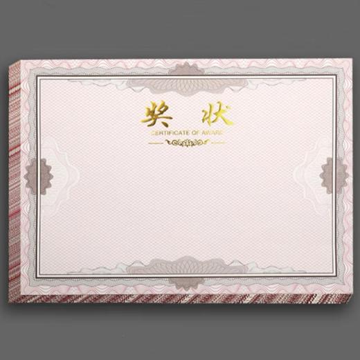 奖状小学生奖状纸a412开可打印空白初中生内纸幼儿园期末儿童创意三好学生证书12K内芯内页 商品图4