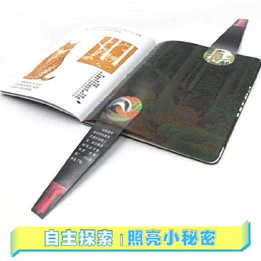 第一次发现·手电筒（平装10册）---接力好书 商品图4