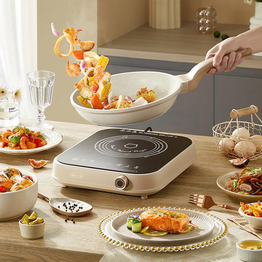 【小程序】小熊(bear)电磁炉 家用大功率2000W 火锅炉 电磁灶 智能定时 温度可调 电灶防水黑色微晶面板 DCL-A22Q5 商品图5