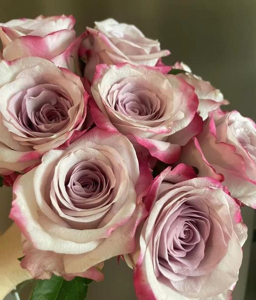 【拍市玫瑰】气场 10支/扎  60公分 商品图3