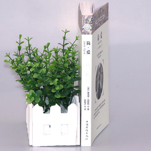 (仓发) 简爱（经典名著）/中国华侨出版社/[英]夏洛蒂·勃朗特/9787511367327 商品图2
