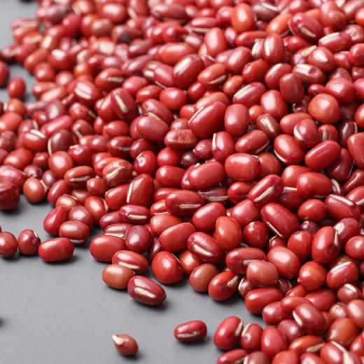 自然农法红豆 500克 商品图1