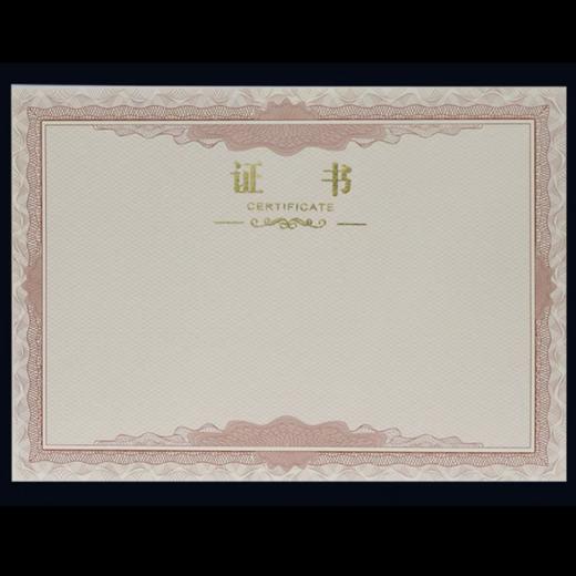 证书纸证书内页A4空白12开可打印内芯1张 商品图1