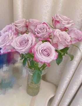 【昆明玫瑰】气场 20支/扎 A级