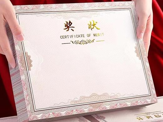 奖状小学生奖状纸a412开可打印空白初中生内纸幼儿园期末儿童创意三好学生证书12K内芯内页 商品图0