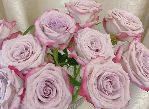 【拍市玫瑰】气场 10支/扎  60公分 商品图1