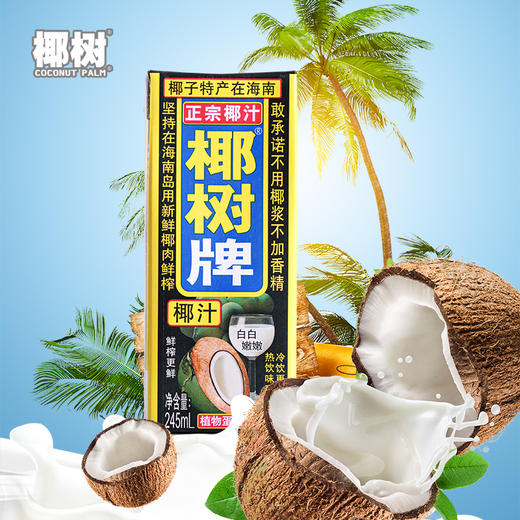正宗椰树椰汁245ml（盒）（8A) 商品图2