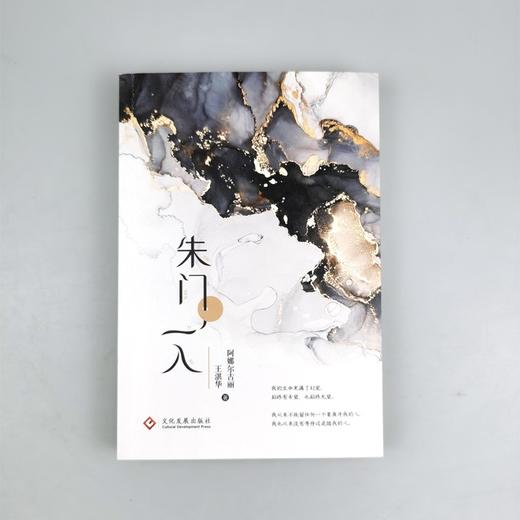 (仓发) 朱门一入/文化发展出版社/阿娜尔古丽，王湛华/9787514235142 商品图2