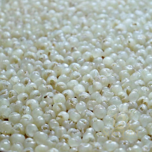 2025年新❗️本味特级无核老树桂圆肉  无添加糖和二氧化硫 甘甜清香滋养补益 邮政韵达随机 商品图11