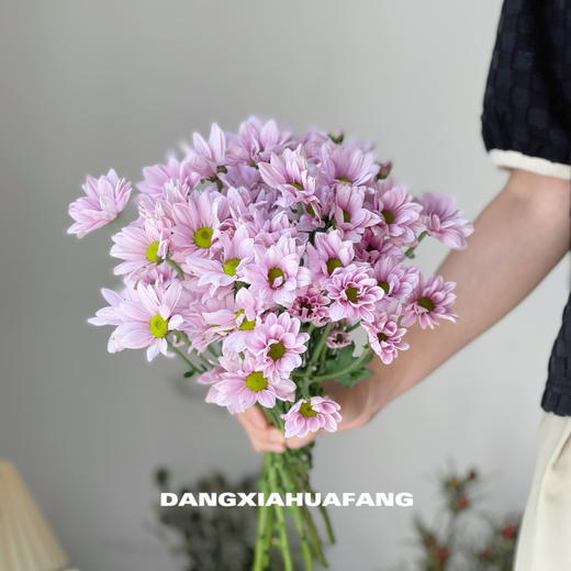 【AB级粉色三文鱼小雏菊】5支/份（满39元包邮） 商品图4